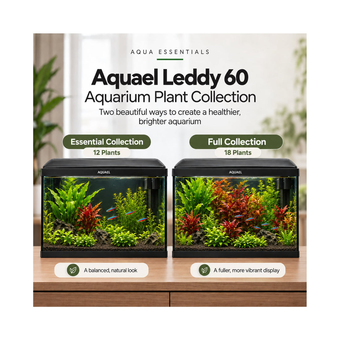Aquael Leddy 60 Aquarium Plant Collection