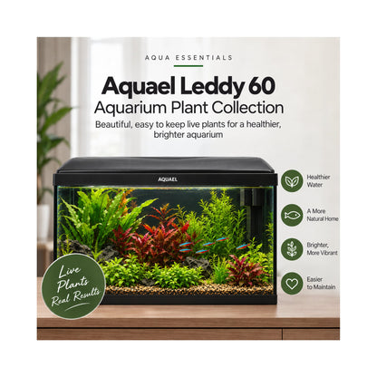 Aquael Leddy 60 Aquarium Plant Collection