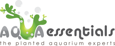 Aqua Essentials