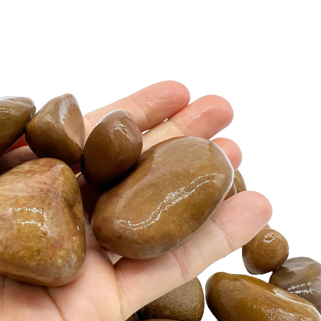 Aquascaping Pebbles - Medium - Aqua Essentials