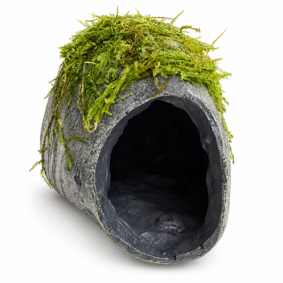 Mossy Fish Cave