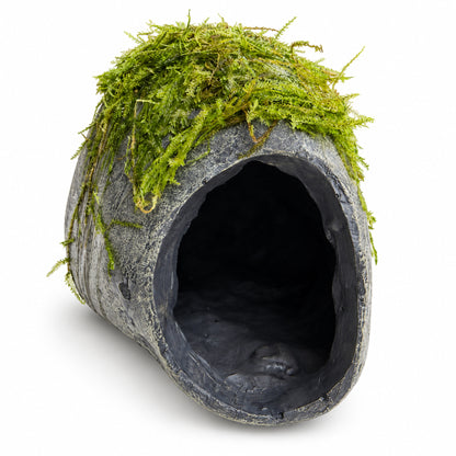 Mossy Fish Cave - Single Hole