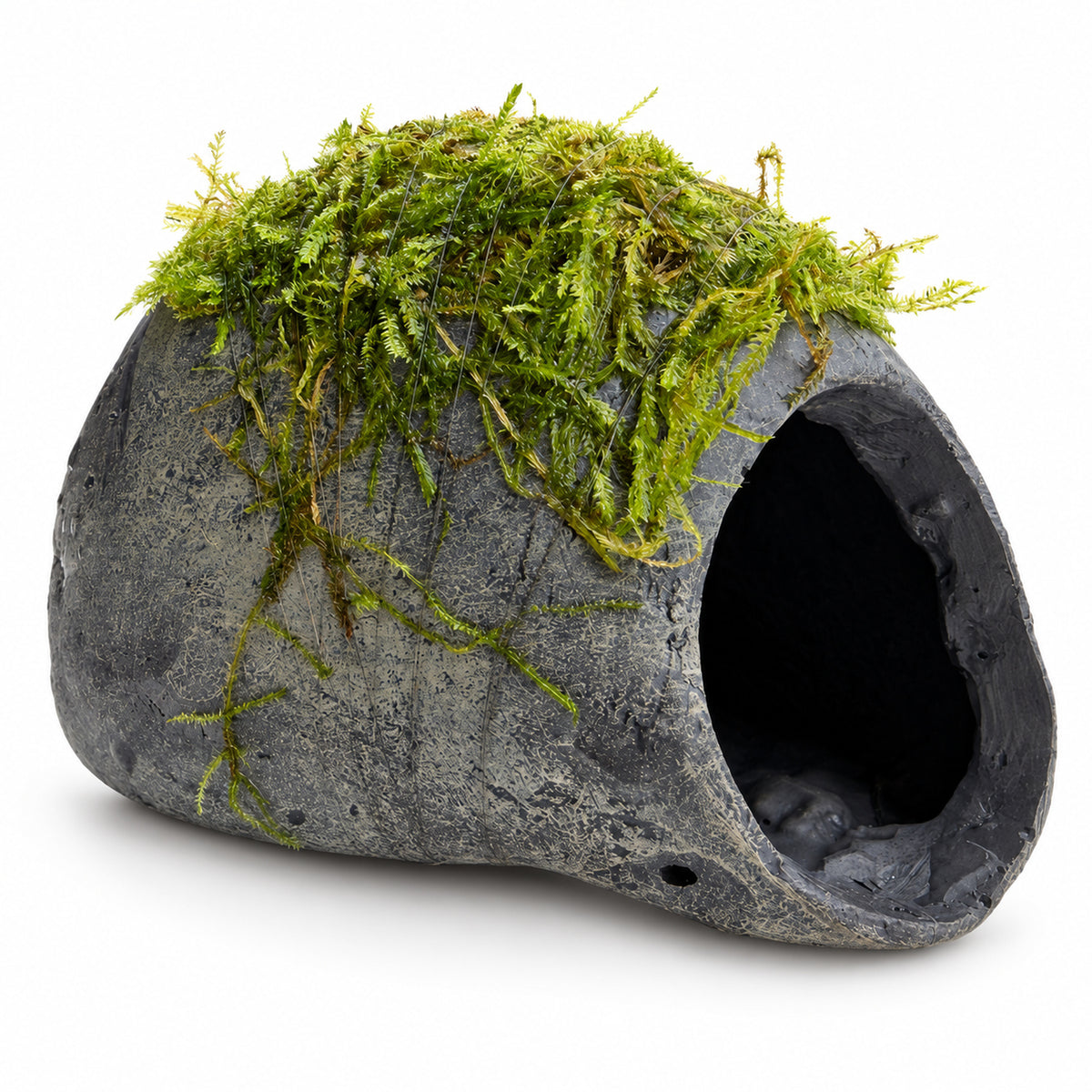 Mossy Fish Cave - Single Hole