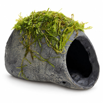 Mossy Fish Cave - Single Hole