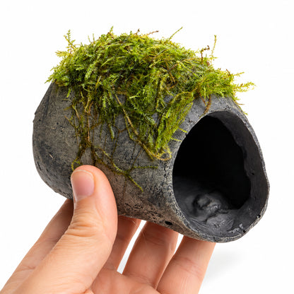 Mossy Fish Cave - Single Hole