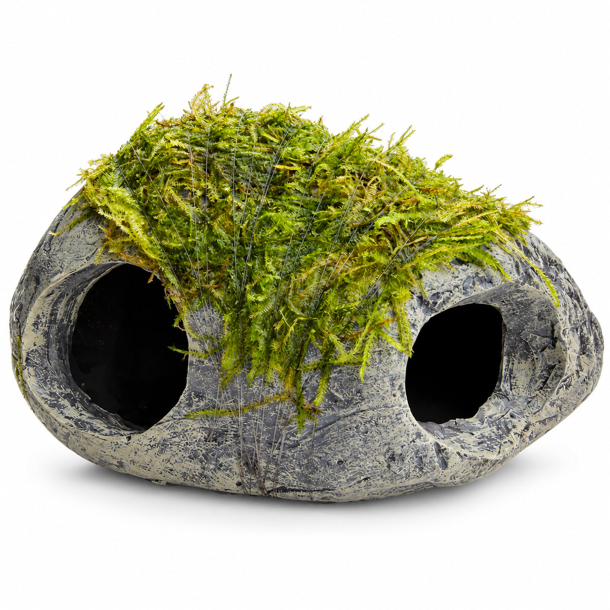 Mossy Fish Cave