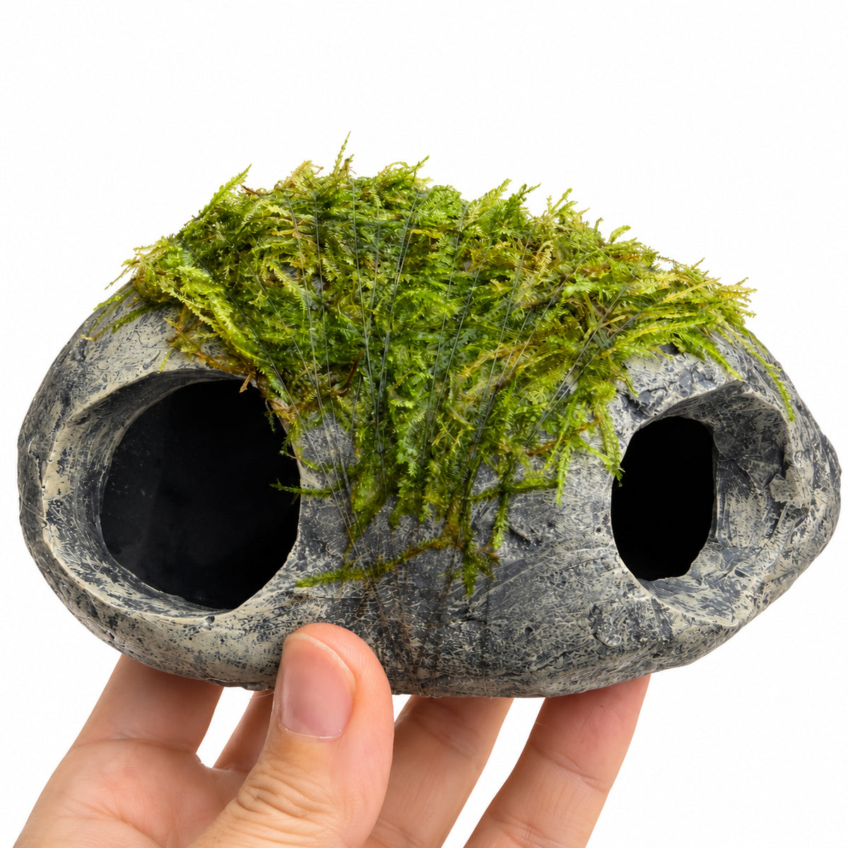 Mossy Fish Cave