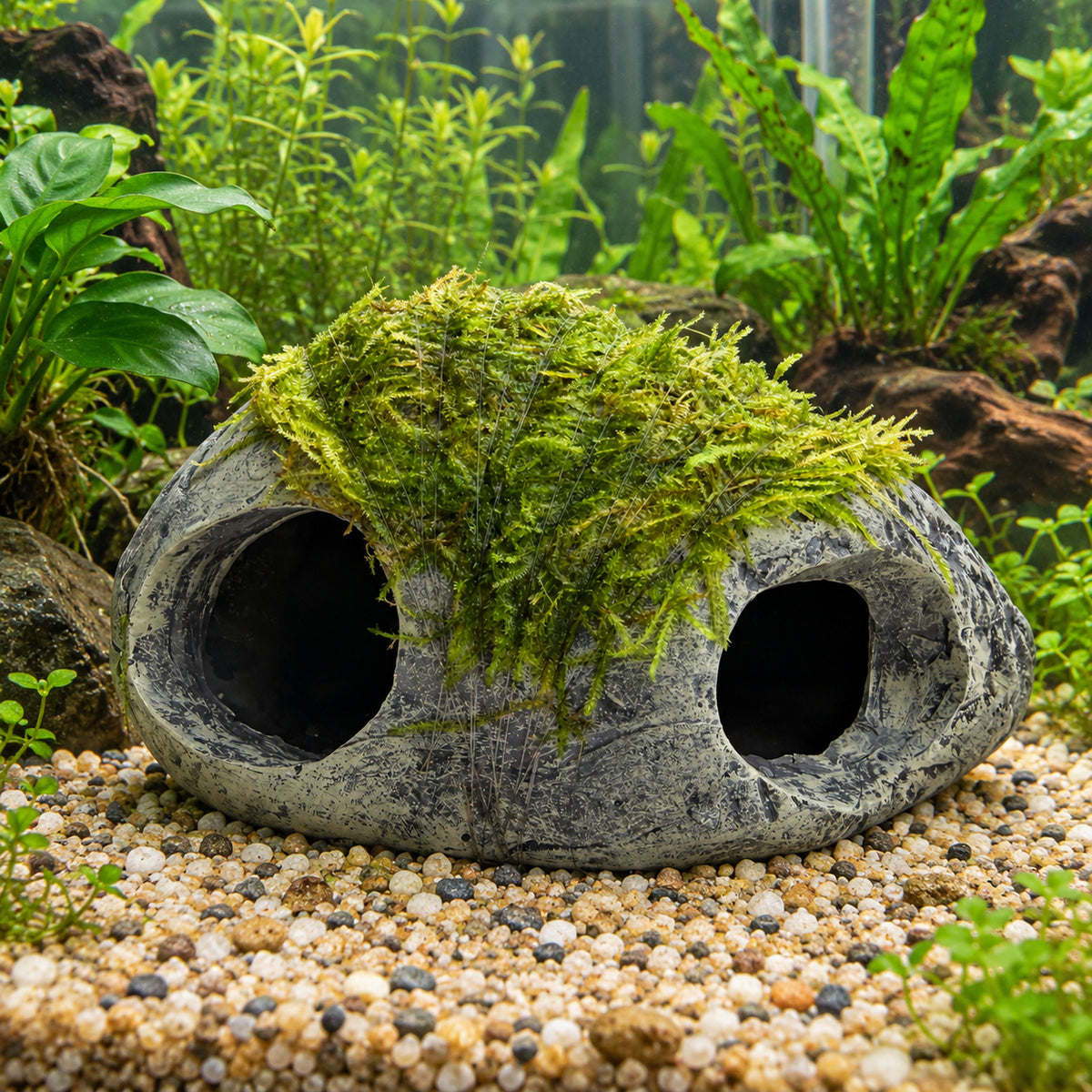Mossy Fish Cave