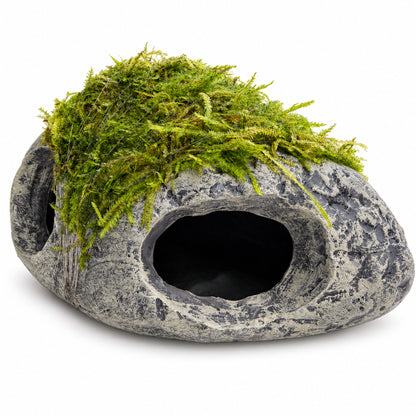 Mossy Fish Cave