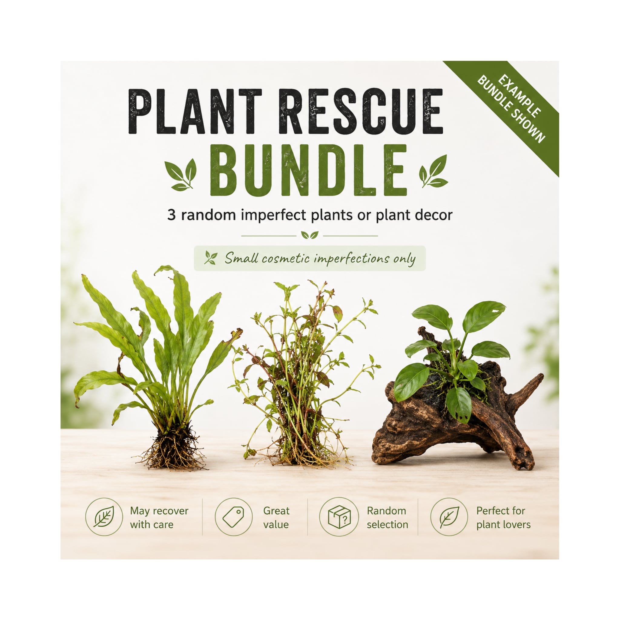 Plant Rescue Bundle of 3