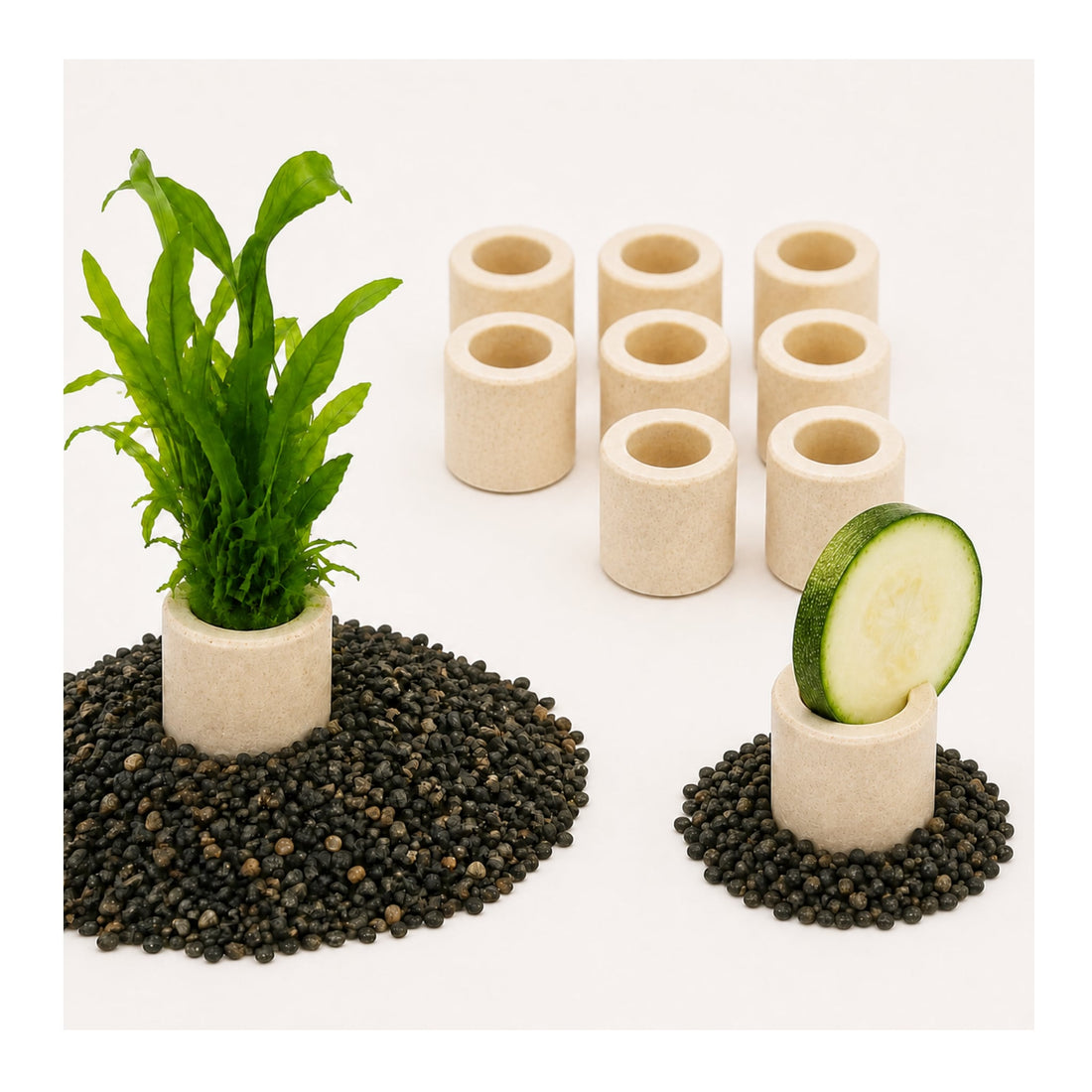 Aquarium Plant / Food Anchors - Pack of 10