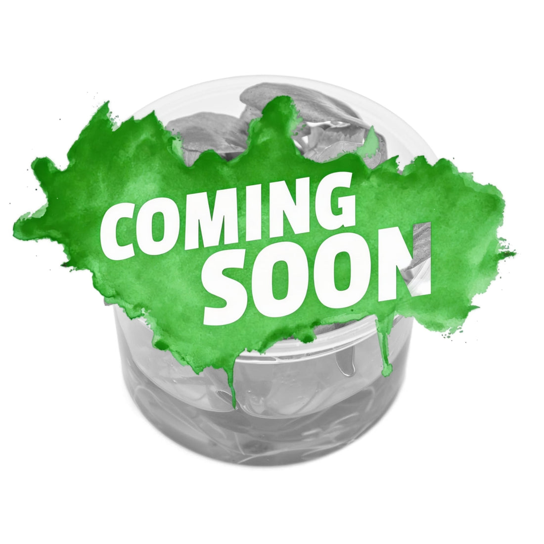 Tropica Hygrophila difformis 1-2-GROW