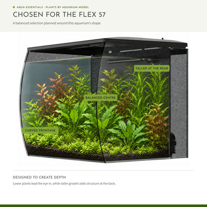 Fluval Flex 57 Aquarium Plant Collection