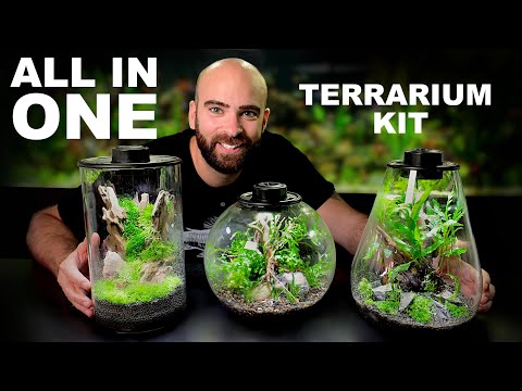 BioArt Drop 285 Terrarium - Black