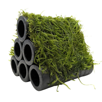 Java Moss Shrimp Shelter - Natural Ceramic Hide with Live Moss