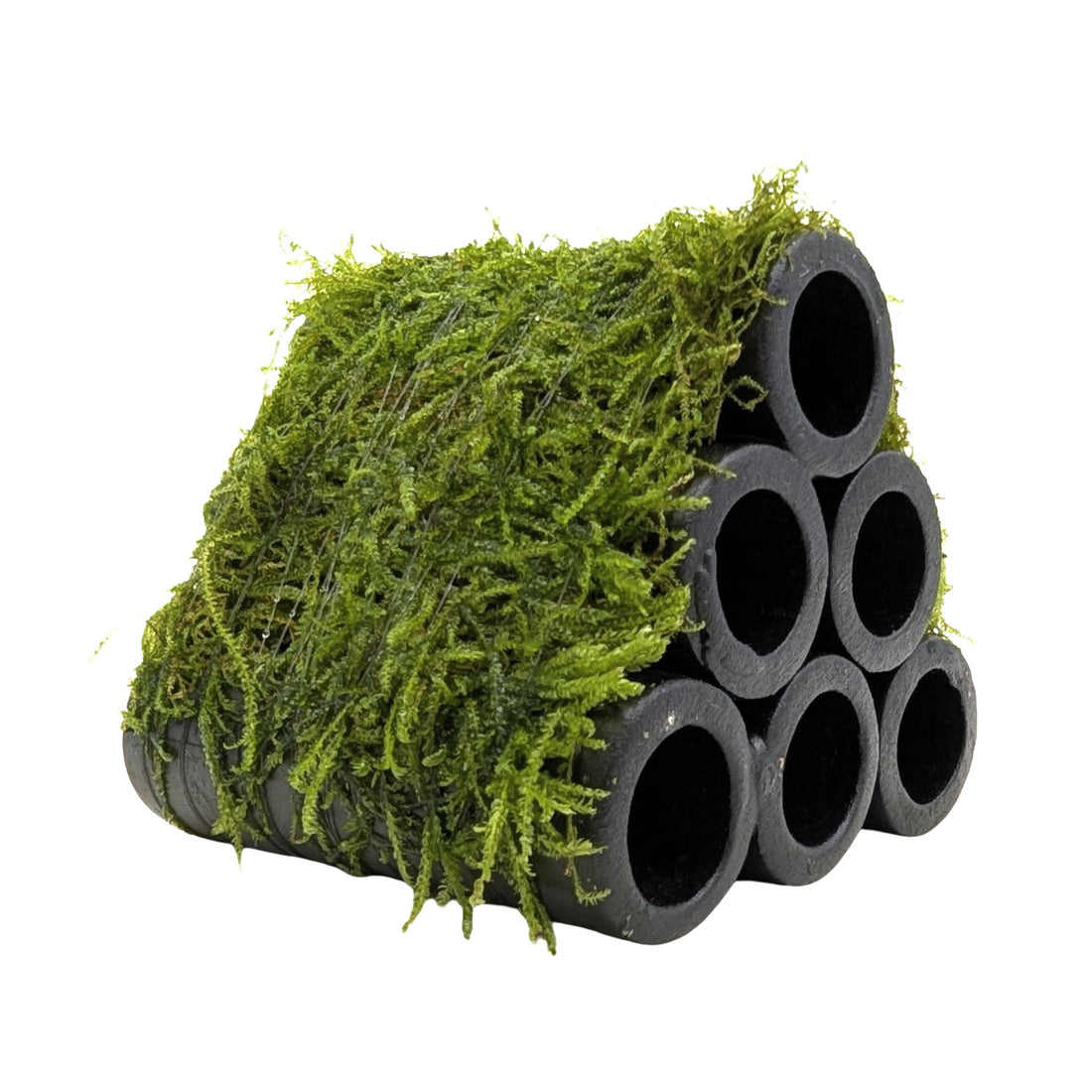 Java Moss Shrimp Shelter - Natural Ceramic Hide with Live Moss