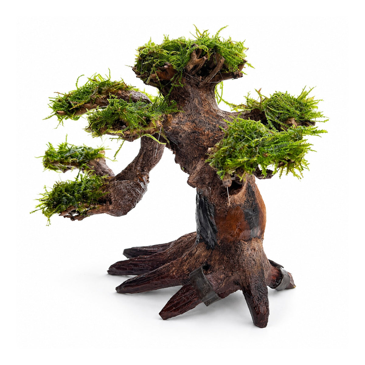 Bonsai Tree with Moss - Small Size