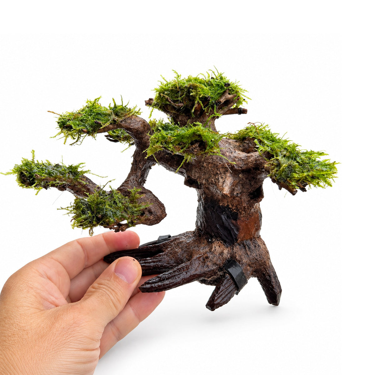 Bonsai Tree with Moss - Small Size