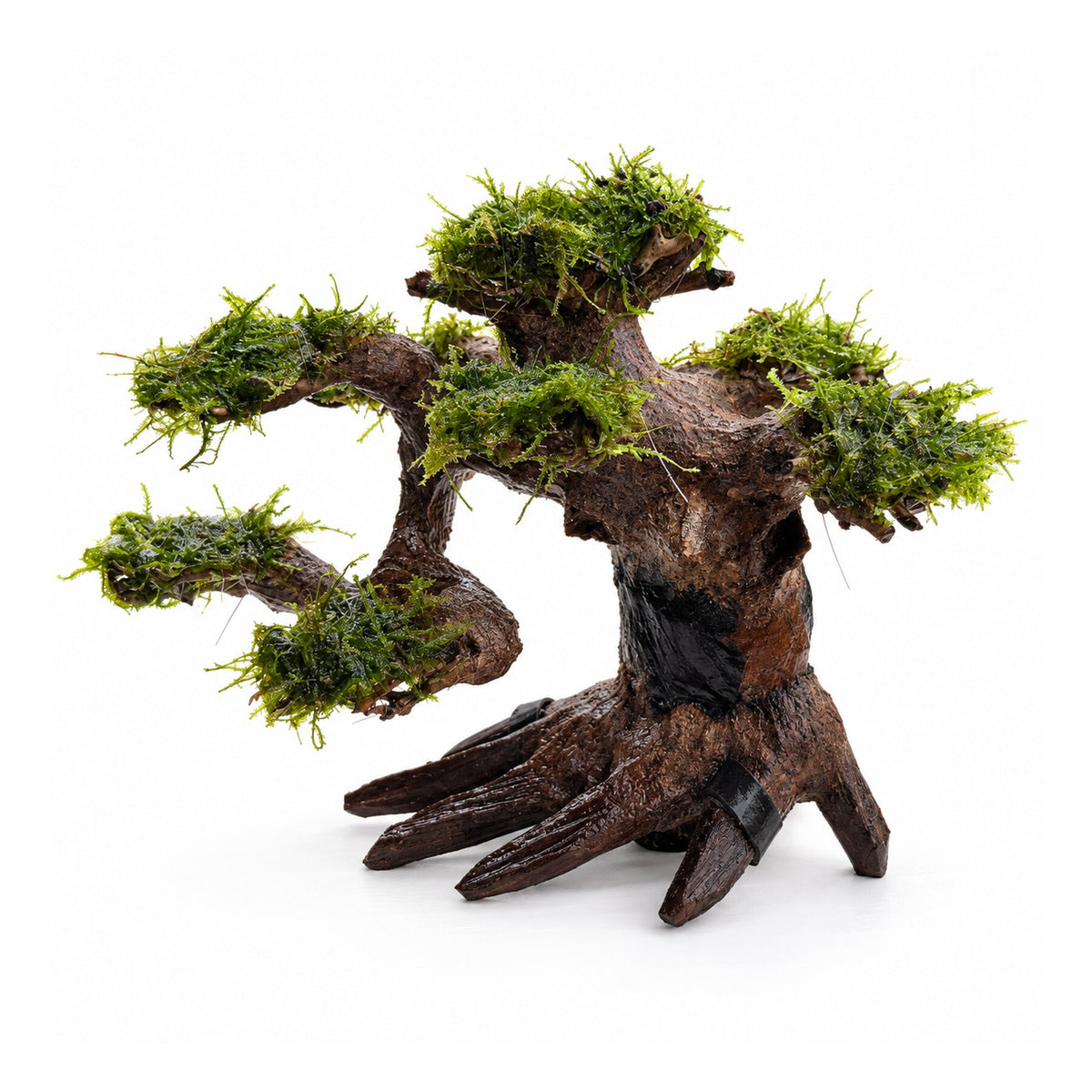 Bonsai Tree with Moss - Small Size
