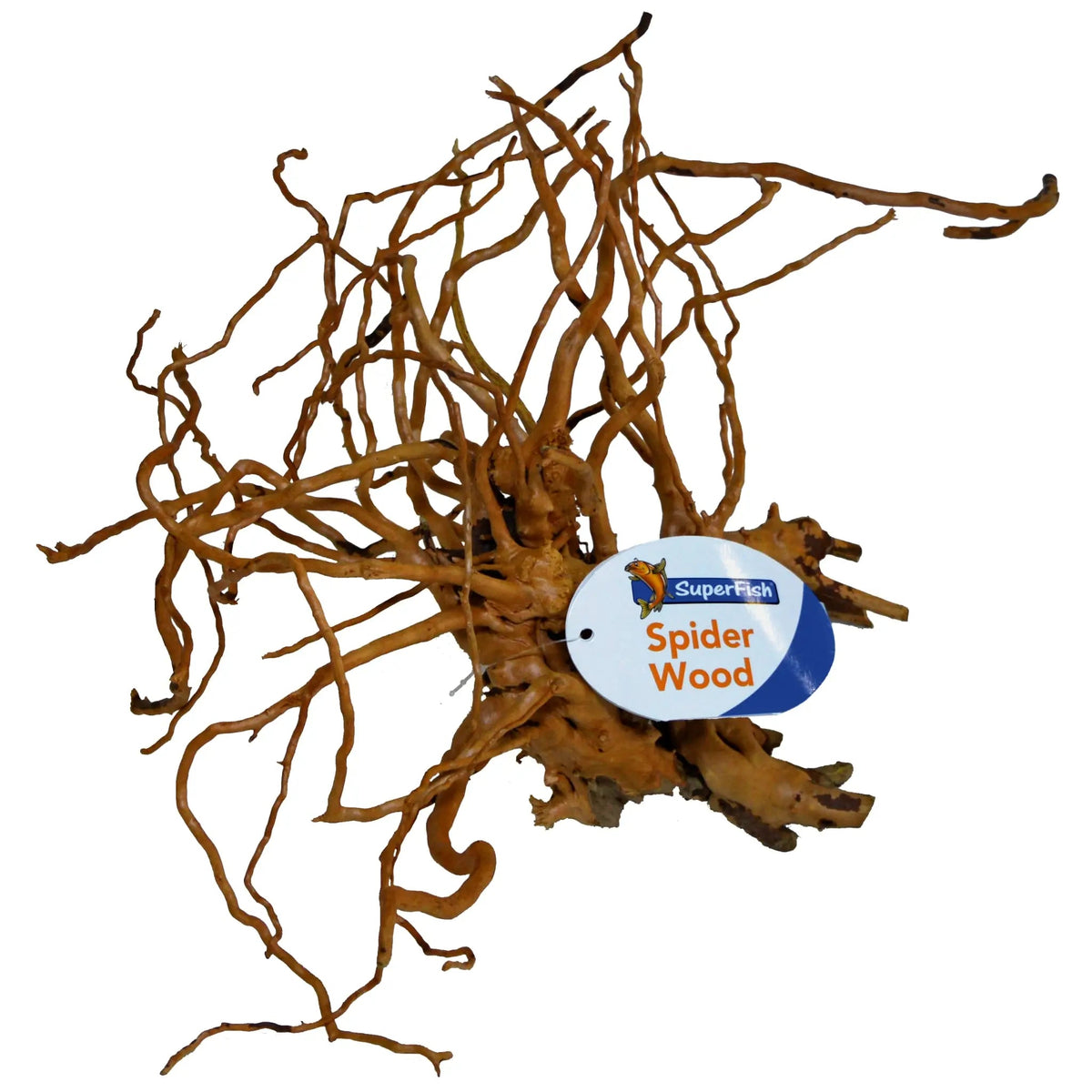 SpiderWood - Medium (30-40cm approx)