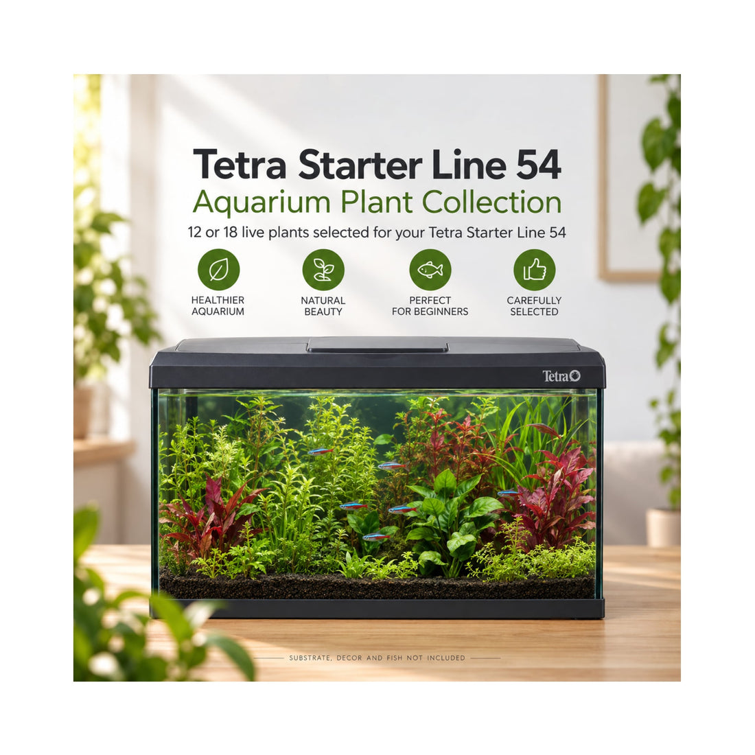 Tetra Starter Line 54 Aquarium Plant Collection