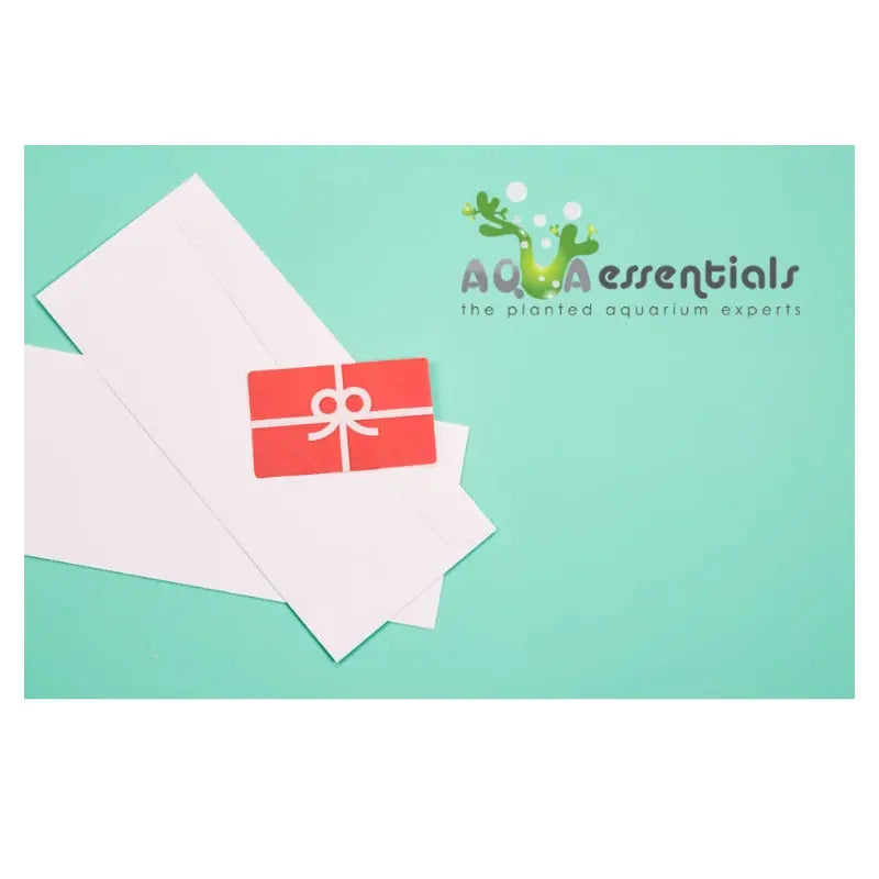 Aqua Essentials Digital Gift Card - Aqua Essentials