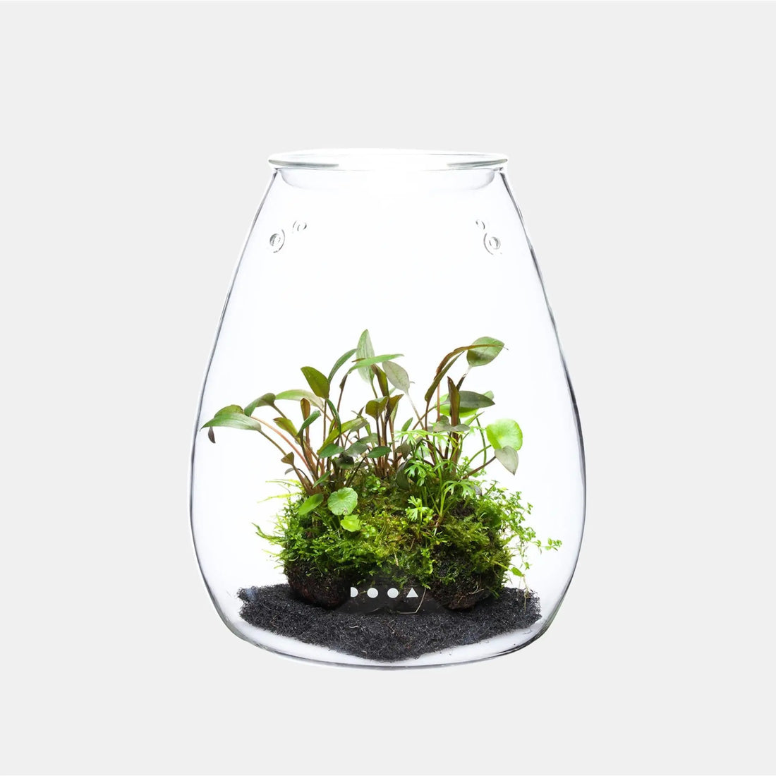 DOOA Glass Pot Shizuku - Aqua Essentials