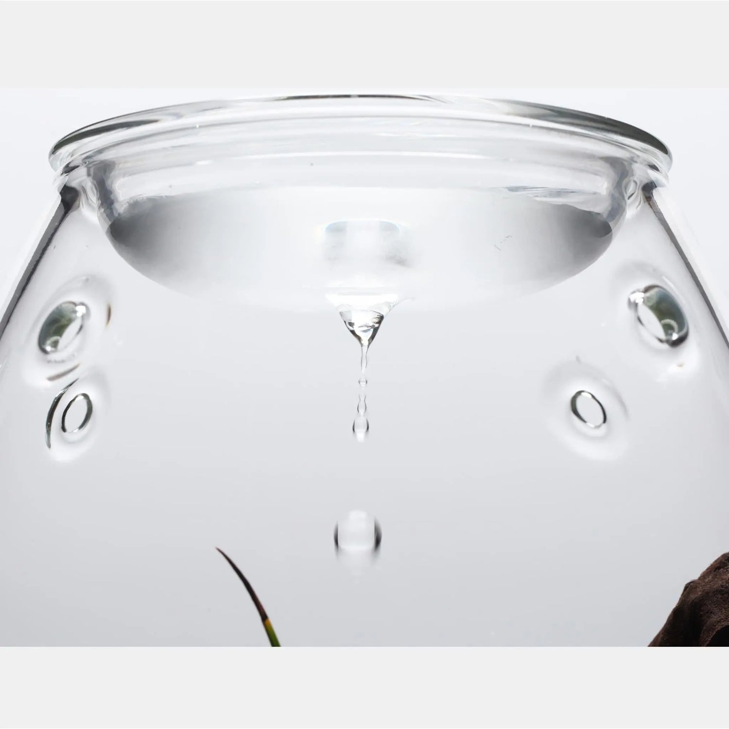 DOOA Glass Pot Shizuku - Aqua Essentials