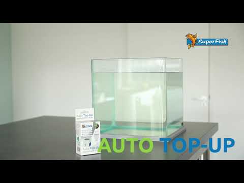 Auto top hotsell up aquarium