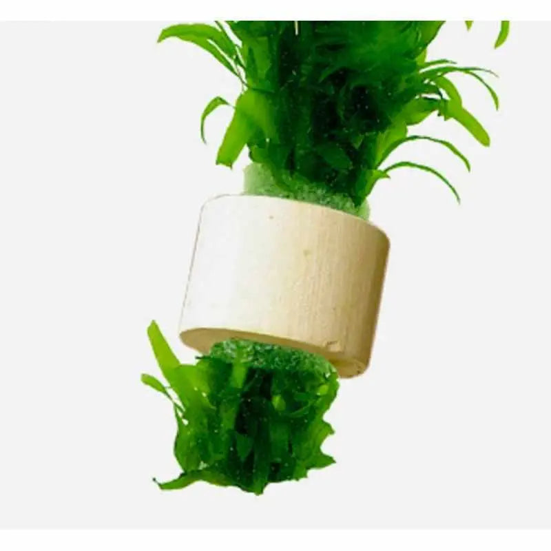 Plant Anchors - holds plants - foods down - Aqua Essentials