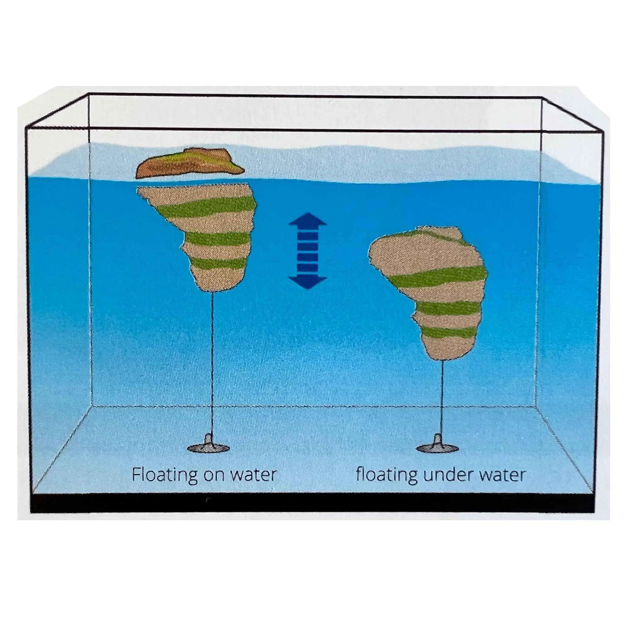 Superfish Floating Stone - Large - Aqua Essentials
