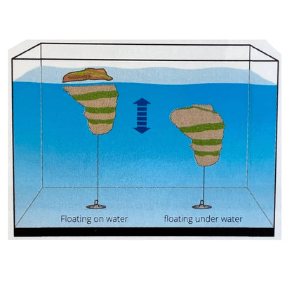 Superfish Floating Stone - Large - Aqua Essentials