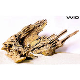 Wio Dragon Wood - per kg - Aqua Essentials