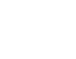Plant attached to wood